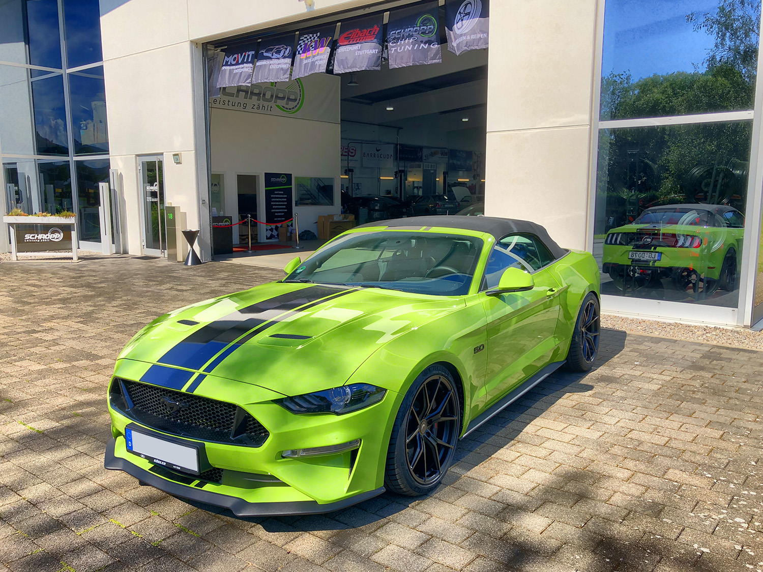 Original Ford Pony Emblem Schwarz Glänzend für Mustang 6 Frontgrill