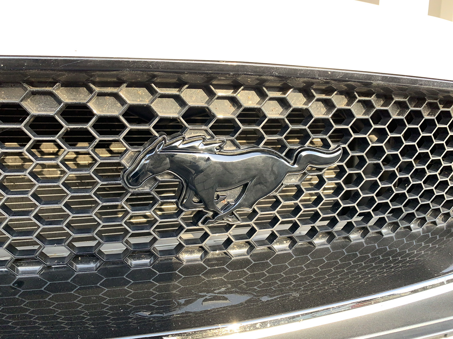 Original Ford Pony Emblem Schwarz Glänzend für Mustang 6 Frontgrill