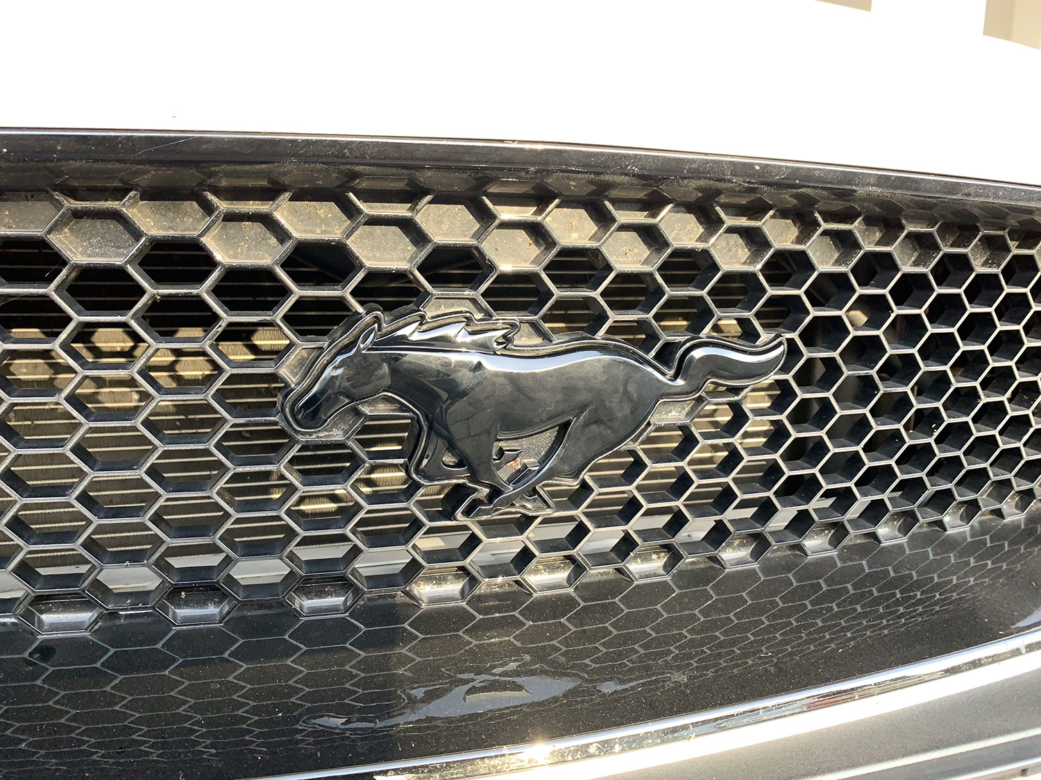 Mustang Emblem schwarz glänzend Kühlergrill für Mustang 2015-2022, Accessoires, Mustang 6 FL 2018-2023